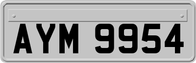 AYM9954