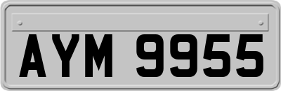 AYM9955