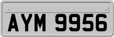 AYM9956