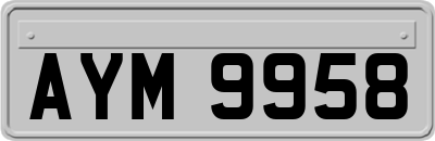 AYM9958
