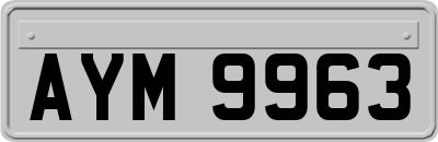 AYM9963