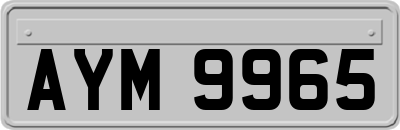 AYM9965