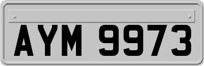 AYM9973