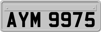 AYM9975