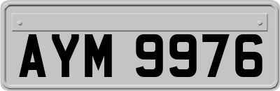 AYM9976