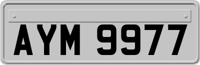 AYM9977