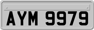 AYM9979