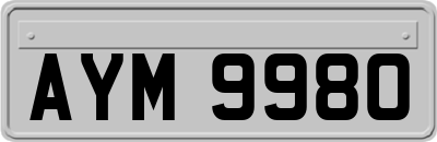 AYM9980