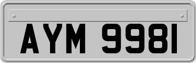 AYM9981