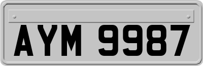 AYM9987