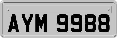 AYM9988