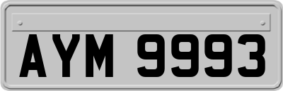 AYM9993