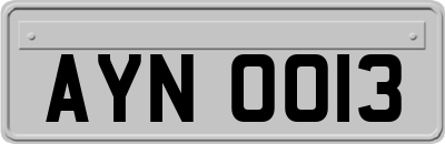 AYN0013