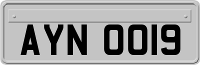 AYN0019