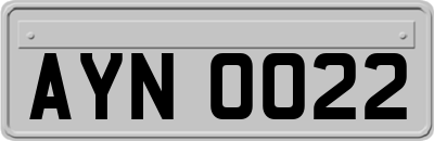 AYN0022