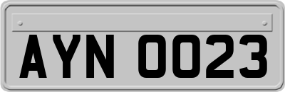 AYN0023