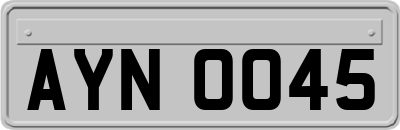 AYN0045