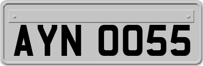 AYN0055