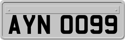 AYN0099