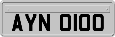 AYN0100