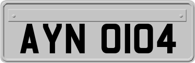 AYN0104
