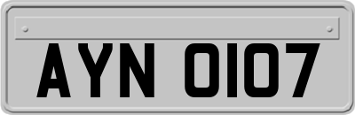 AYN0107
