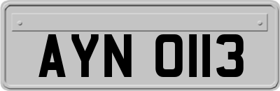 AYN0113