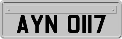 AYN0117
