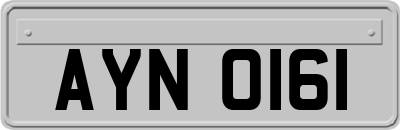 AYN0161