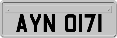 AYN0171