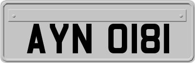 AYN0181