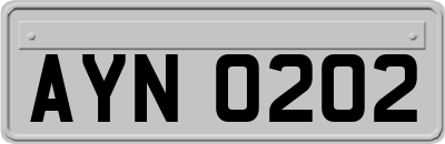 AYN0202