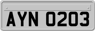AYN0203
