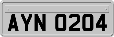 AYN0204