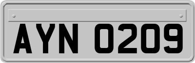 AYN0209