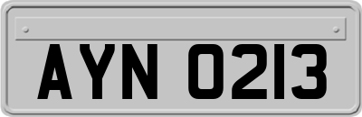 AYN0213