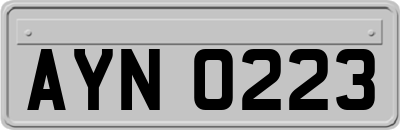 AYN0223