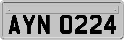 AYN0224