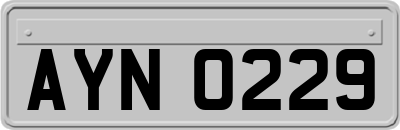 AYN0229