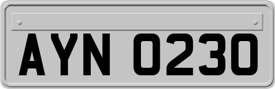 AYN0230