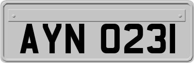 AYN0231