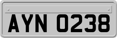 AYN0238