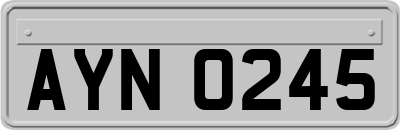AYN0245