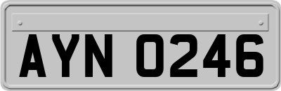 AYN0246