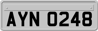 AYN0248