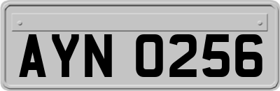 AYN0256