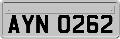 AYN0262