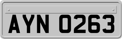 AYN0263
