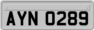 AYN0289