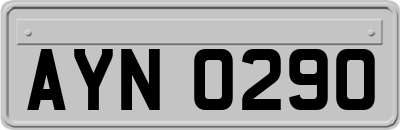 AYN0290